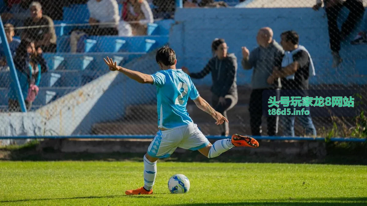 头号玩家龙8常见问题排查
